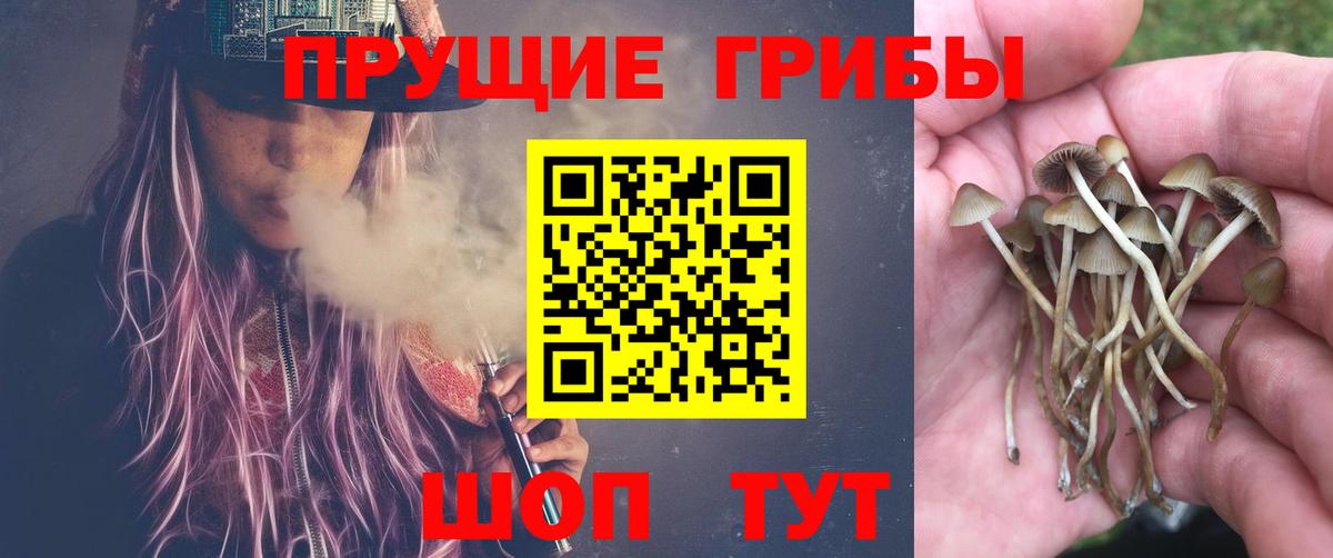 Псилоцибиновые грибы Magic Shrooms  Вход с VPN  Егорьевск  Галлюциногенные грибы прущие грибы 